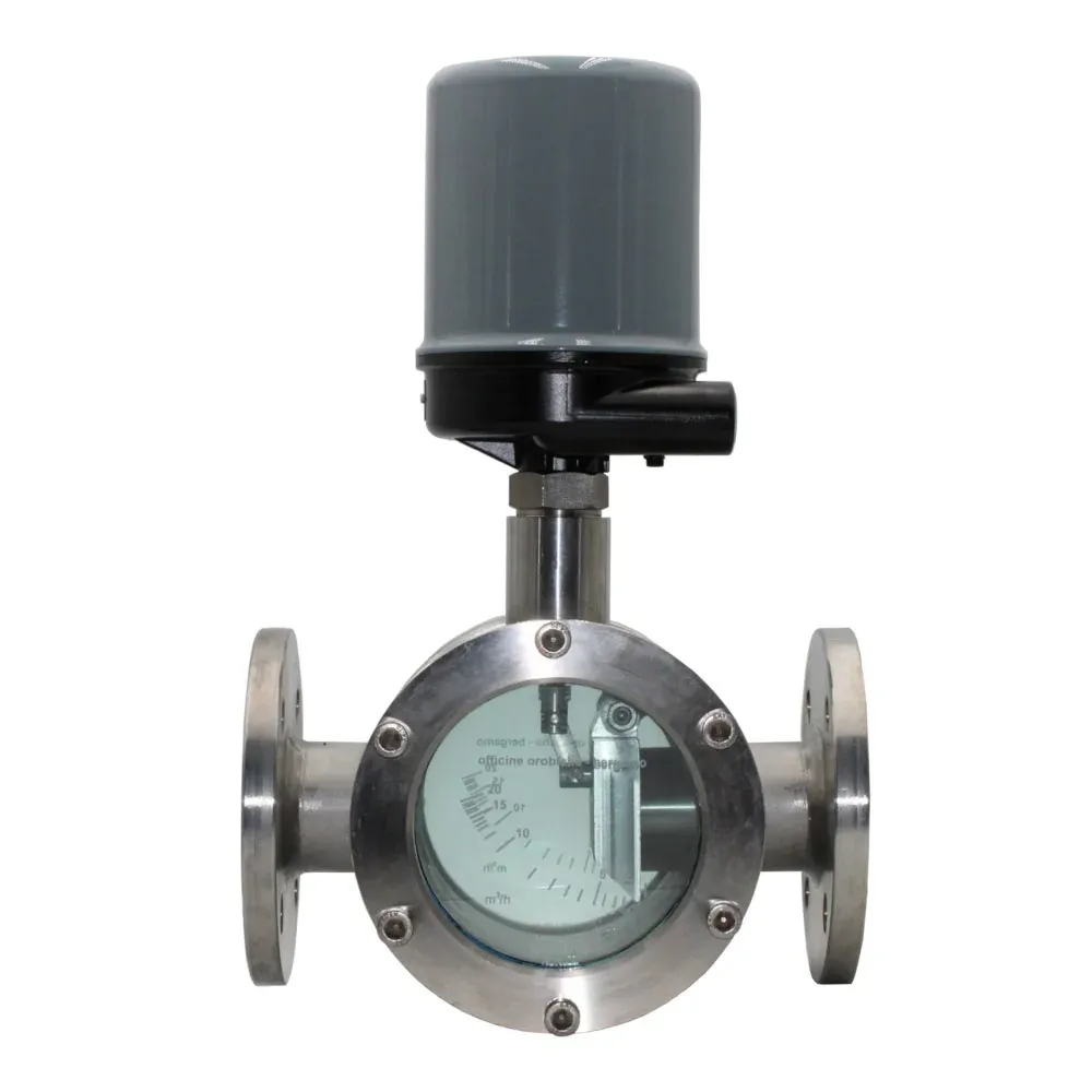 Paddle Flow Switch